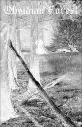 Obsidian Forest : Forests of Oblivion